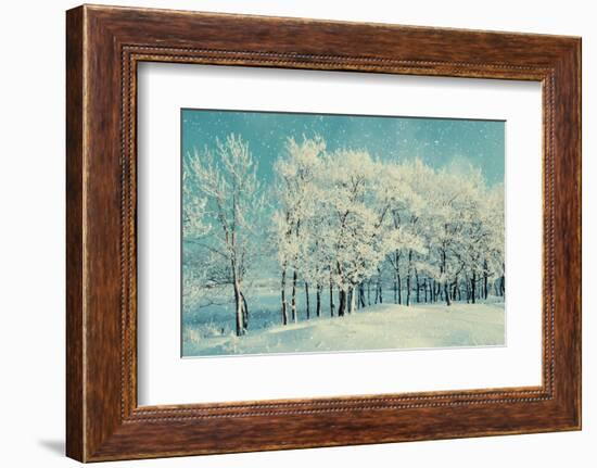 Winter Forest Landscape with Snowy Winter Trees and Snowfall-Marina Zezelina-Framed Photographic Print