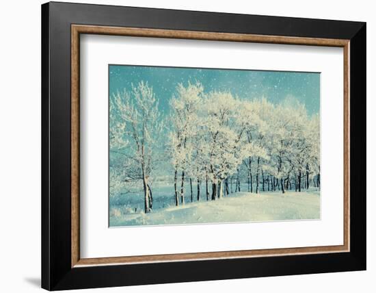 Winter Forest Landscape with Snowy Winter Trees and Snowfall-Marina Zezelina-Framed Photographic Print