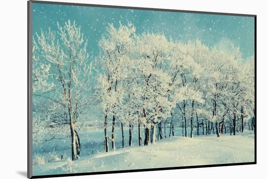 Winter Forest Landscape with Snowy Winter Trees and Snowfall-Marina Zezelina-Mounted Photographic Print