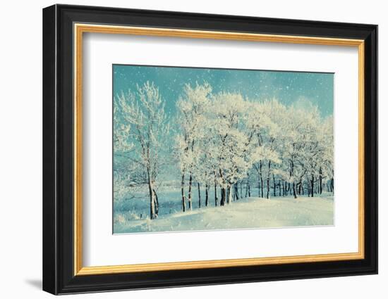 Winter Forest Landscape with Snowy Winter Trees and Snowfall-Marina Zezelina-Framed Photographic Print