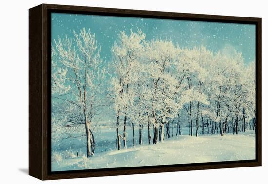 Winter Forest Landscape with Snowy Winter Trees and Snowfall-Marina Zezelina-Framed Premier Image Canvas