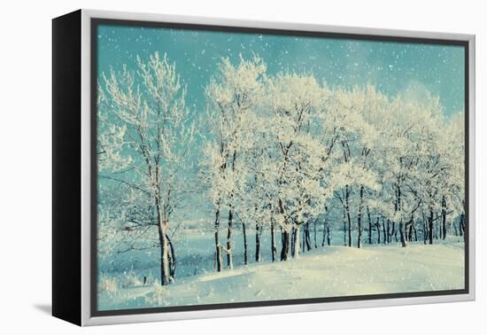 Winter Forest Landscape with Snowy Winter Trees and Snowfall-Marina Zezelina-Framed Premier Image Canvas