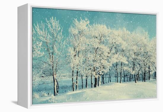 Winter Forest Landscape with Snowy Winter Trees and Snowfall-Marina Zezelina-Framed Premier Image Canvas