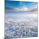Premium Photographic Print