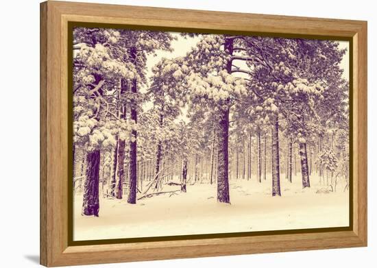 Winter Forest Vista-duallogic-Framed Premier Image Canvas