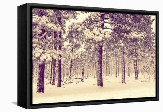 Winter Forest Vista-duallogic-Framed Premier Image Canvas