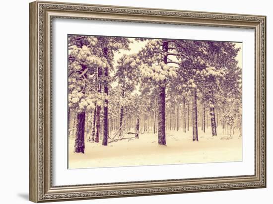 Winter Forest Vista-duallogic-Framed Photographic Print