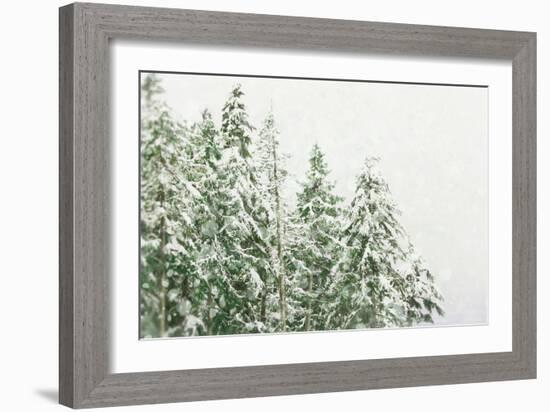 Winter Forest-null-Framed Photographic Print