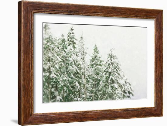 Winter Forest-null-Framed Photographic Print