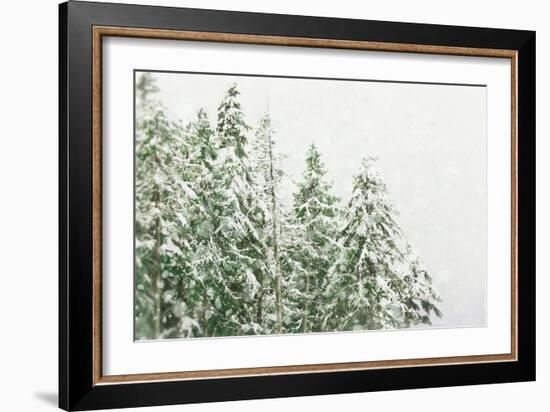 Winter Forest-null-Framed Photographic Print