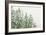 Winter Forest-null-Framed Photographic Print