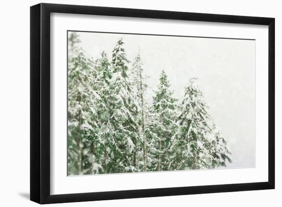 Winter Forest-null-Framed Photographic Print