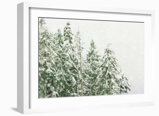 Winter Forest-null-Framed Photographic Print