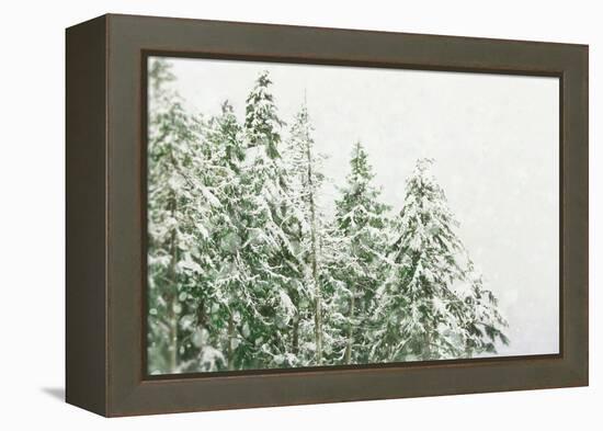 Winter Forest-null-Framed Premier Image Canvas