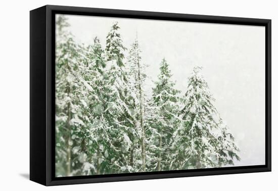 Winter Forest-null-Framed Premier Image Canvas