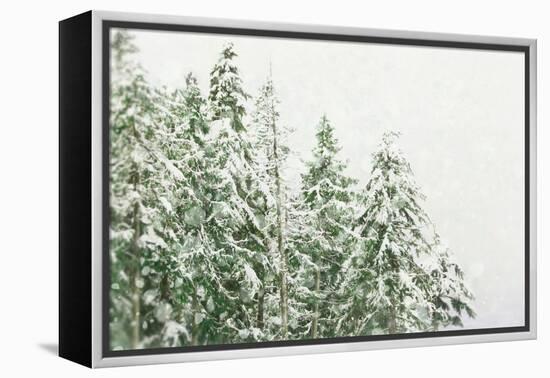 Winter Forest-null-Framed Premier Image Canvas