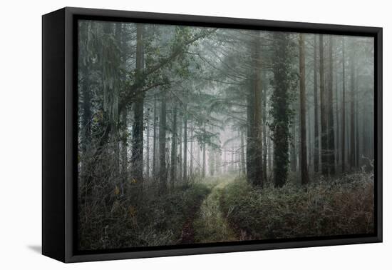 winter forest-Phillipe Manguin-Framed Premier Image Canvas