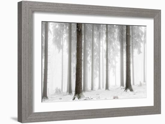 Winter Forest-Mareike Böhmer-Framed Giclee Print