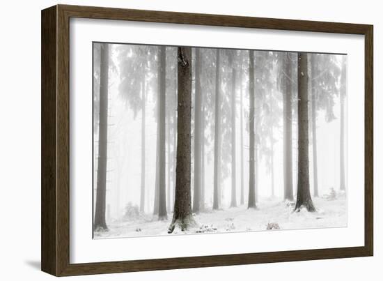 Winter Forest-Mareike Böhmer-Framed Giclee Print