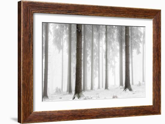 Winter Forest-Mareike Böhmer-Framed Giclee Print