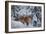 Winter Fox, 1904-Bruno Andreas Liljefors-Framed Giclee Print