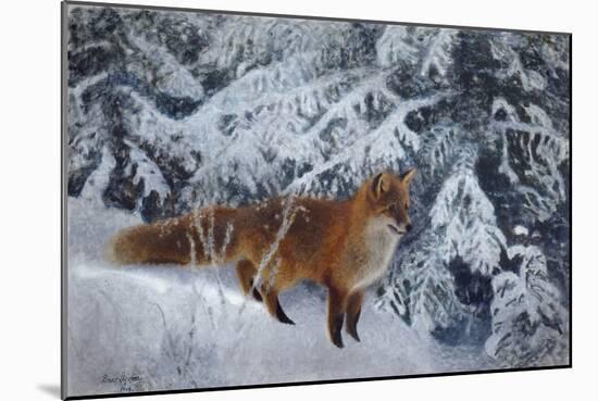 Winter Fox, 1904-Bruno Andreas Liljefors-Mounted Giclee Print