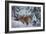 Winter Fox, 1904-Bruno Andreas Liljefors-Framed Giclee Print