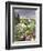 Winter from the Four Seasons (One of a Set of Four)-Hilary Jones-Framed Giclee Print