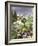 Winter from the Four Seasons (One of a Set of Four)-Hilary Jones-Framed Giclee Print