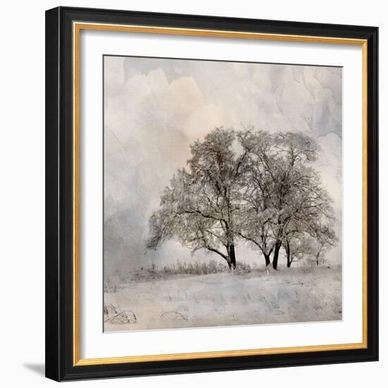 Winter Frost 2-Kimberly Allen-Framed Art Print