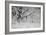 Winter Frost 3-Gordon Semmens-Framed Photographic Print