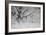 Winter Frost 3-Gordon Semmens-Framed Photographic Print