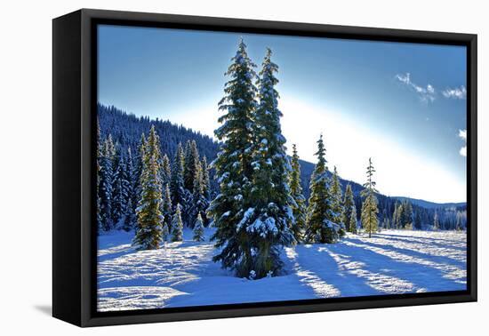 Winter Frost. Winter in British Columbia Brings a Variety of Landscapes and Close-Ups-Richard Wright-Framed Premier Image Canvas
