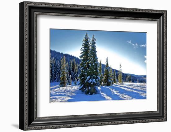 Winter Frost. Winter in British Columbia Brings a Variety of Landscapes and Close-Ups-Richard Wright-Framed Photographic Print