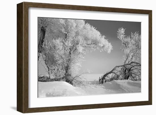 Winter Frost-Gordon Semmens-Framed Photographic Print