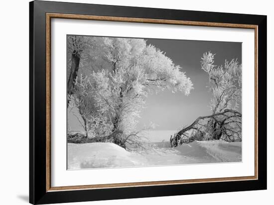 Winter Frost-Gordon Semmens-Framed Photographic Print