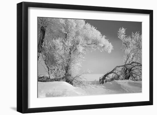 Winter Frost-Gordon Semmens-Framed Photographic Print