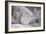 Winter Frost-Gordon Semmens-Framed Photographic Print