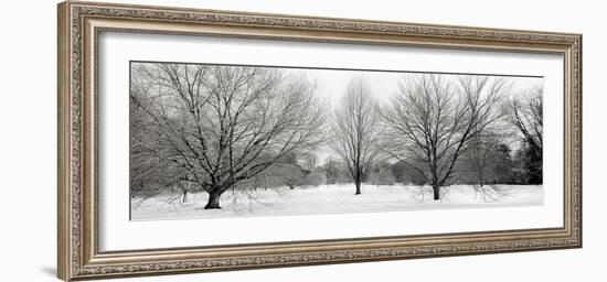 Winter Garden I-Alan Blaustein-Framed Photographic Print