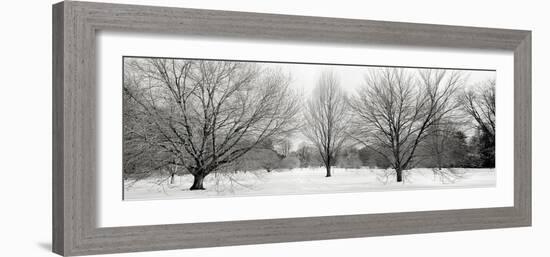 Winter Garden I-Alan Blaustein-Framed Photographic Print