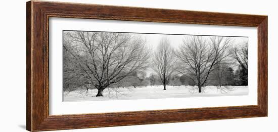 Winter Garden I-Alan Blaustein-Framed Photographic Print