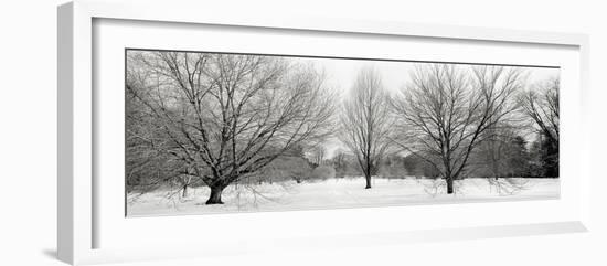 Winter Garden I-Alan Blaustein-Framed Photographic Print