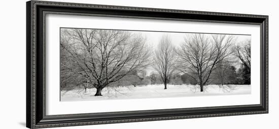 Winter Garden I-Alan Blaustein-Framed Photographic Print