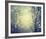 Winter Glow-Irene Suchocki-Framed Giclee Print