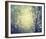 Winter Glow-Irene Suchocki-Framed Giclee Print