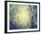 Winter Glow-Irene Suchocki-Framed Giclee Print