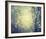 Winter Glow-Irene Suchocki-Framed Giclee Print