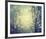 Winter Glow-Irene Suchocki-Framed Giclee Print