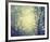 Winter Glow-Irene Suchocki-Framed Giclee Print