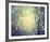 Winter Glow-Irene Suchocki-Framed Giclee Print